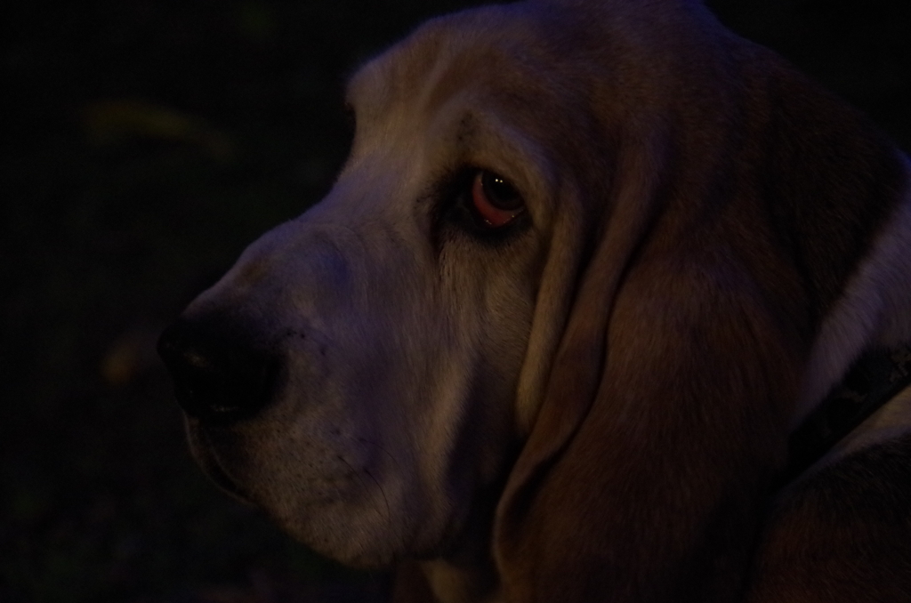 老人　恐怖にしわになる