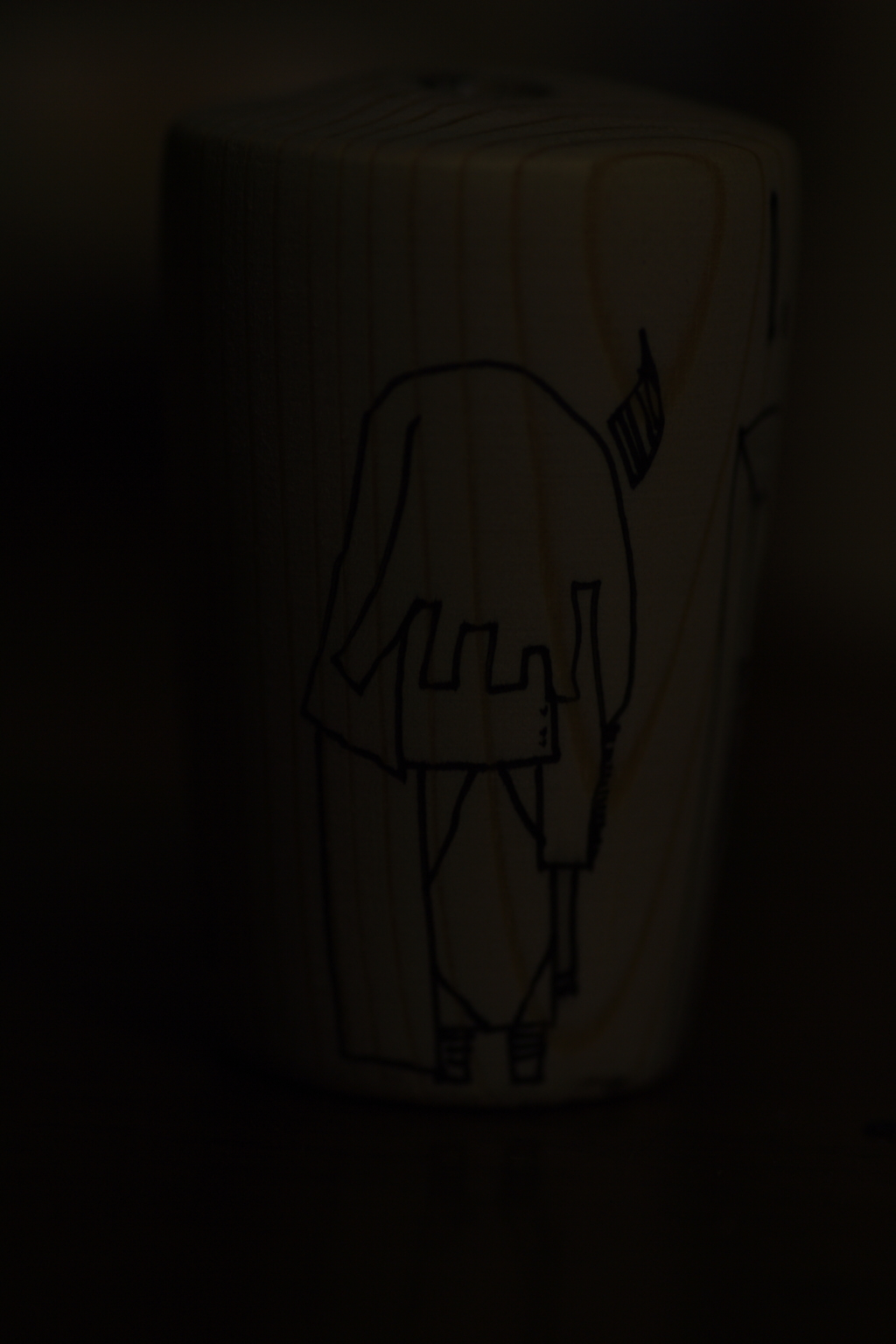 IMGP8569