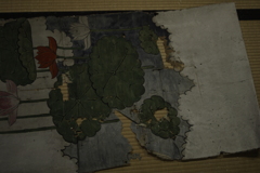 IMGP7482