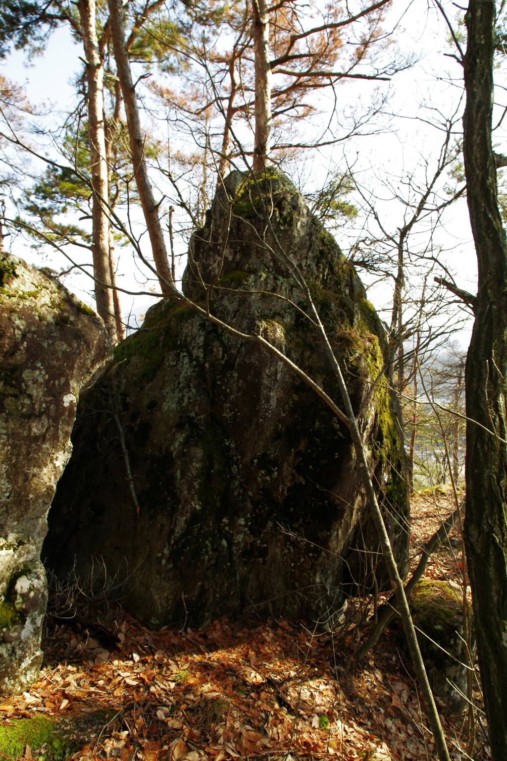IMGP4944