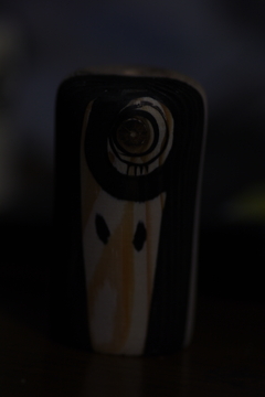 IMGP8607