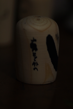 IMGP8704