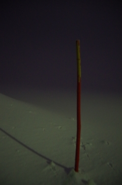 IMGP5128