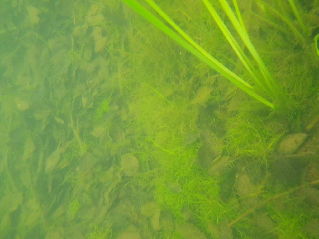 IMGP0017