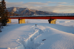雪道　圧雪　軍行