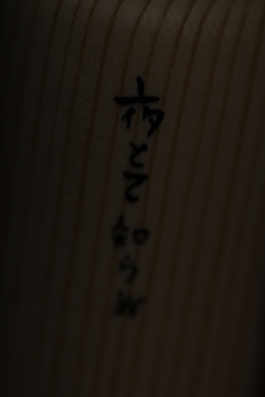 IMGP8668