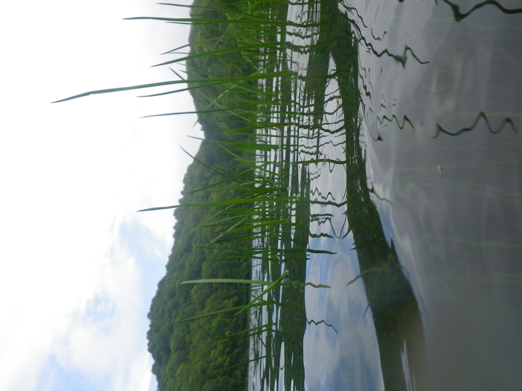IMGP0008