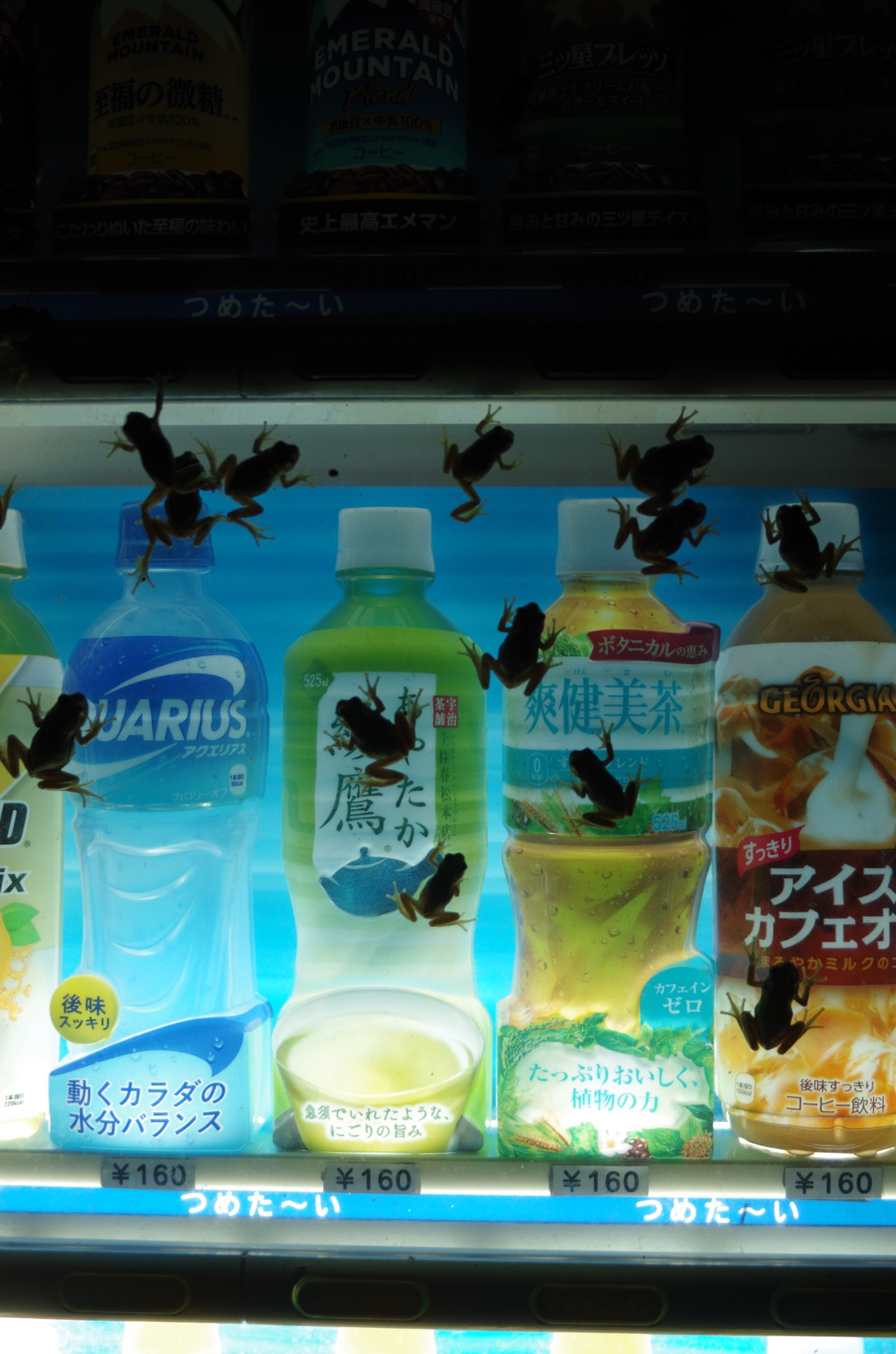 田舎　帰る　自動販売機　バー