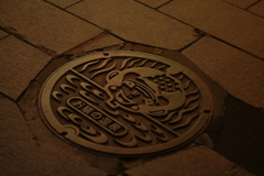 IMGP4334