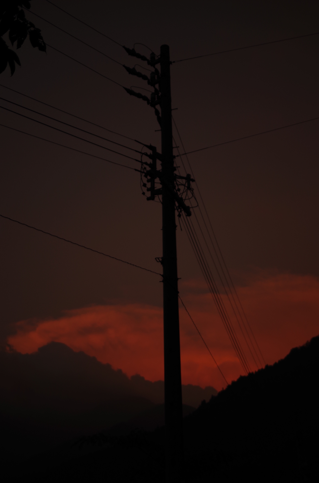 IMGP7814