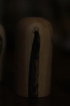 IMGP8678