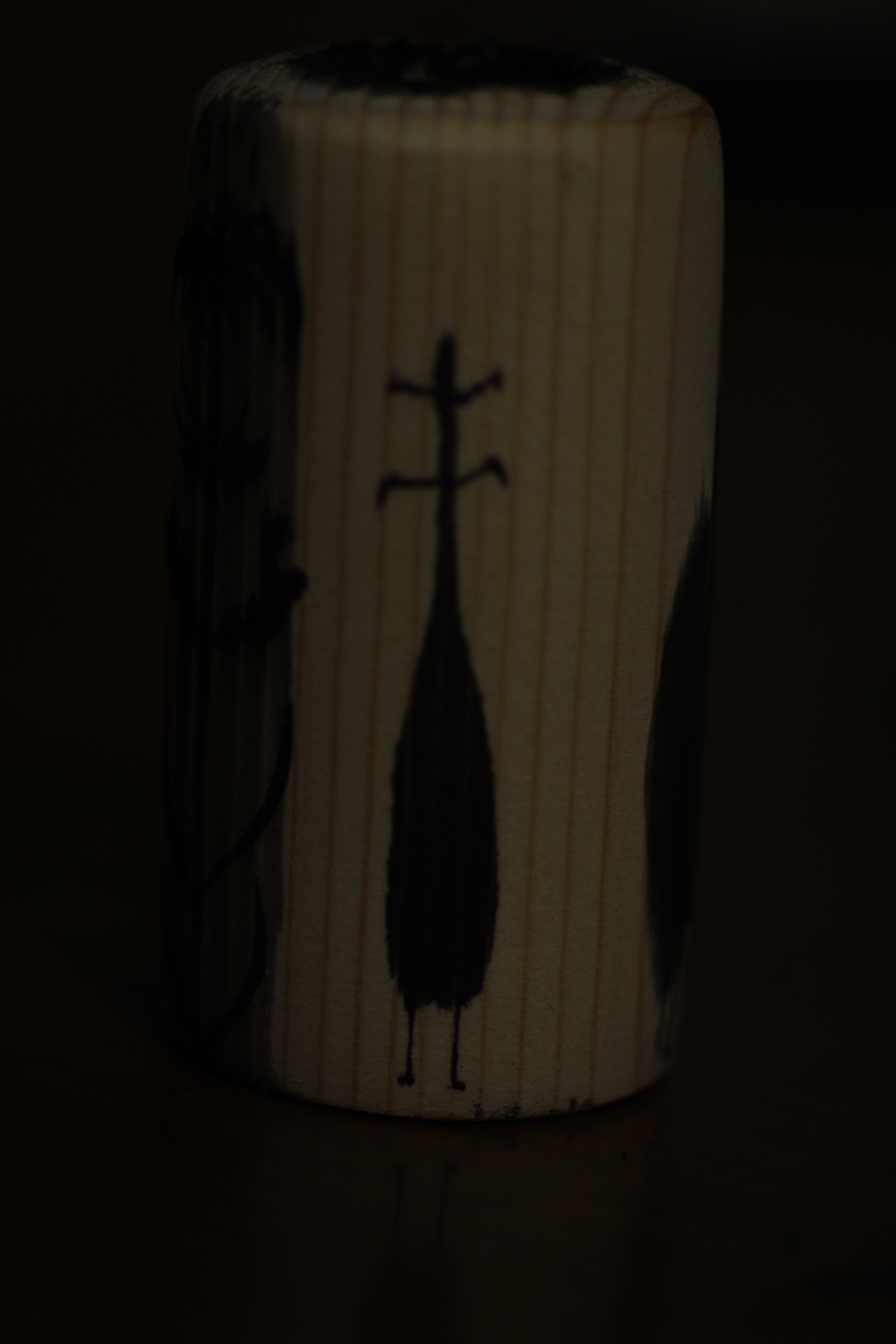 IMGP8598