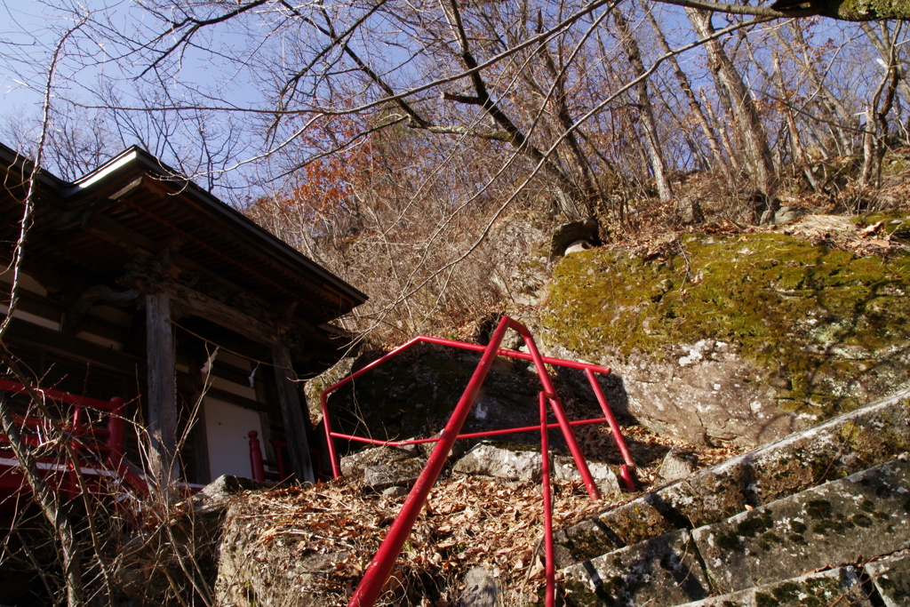 IMGP4884