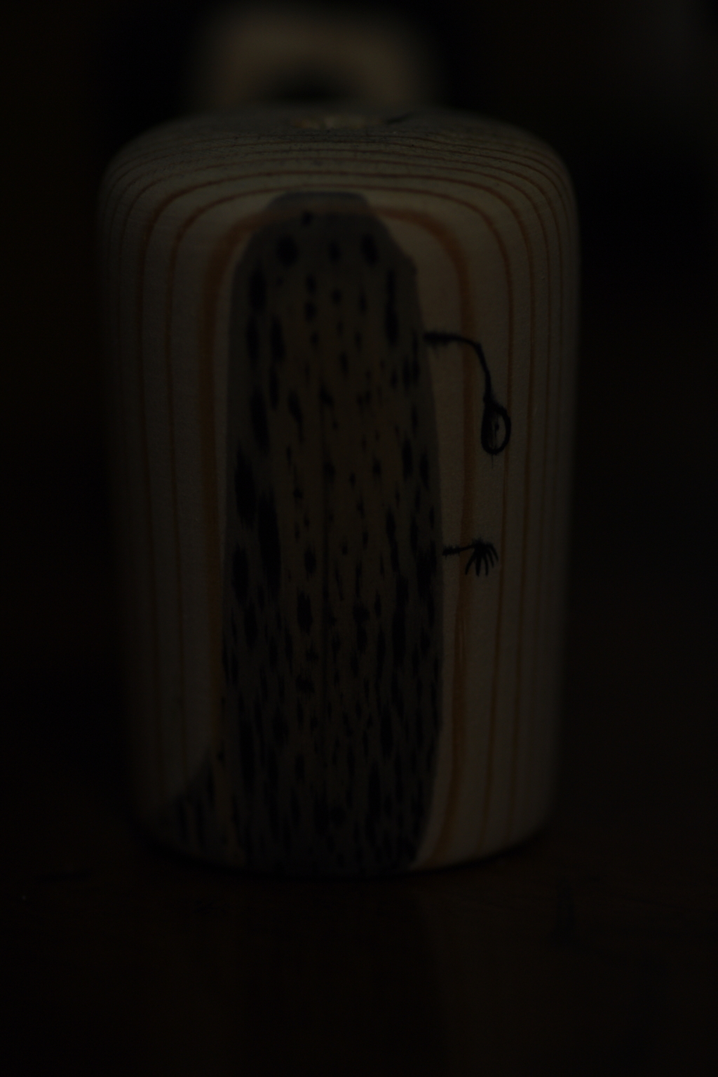 IMGP8585