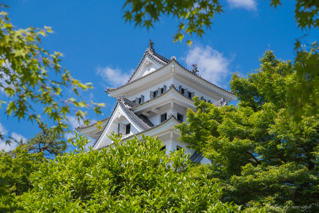 新緑と郡上八幡城