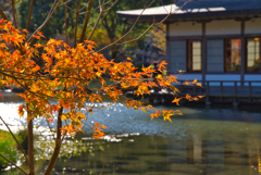 晩秋の岩屋公園