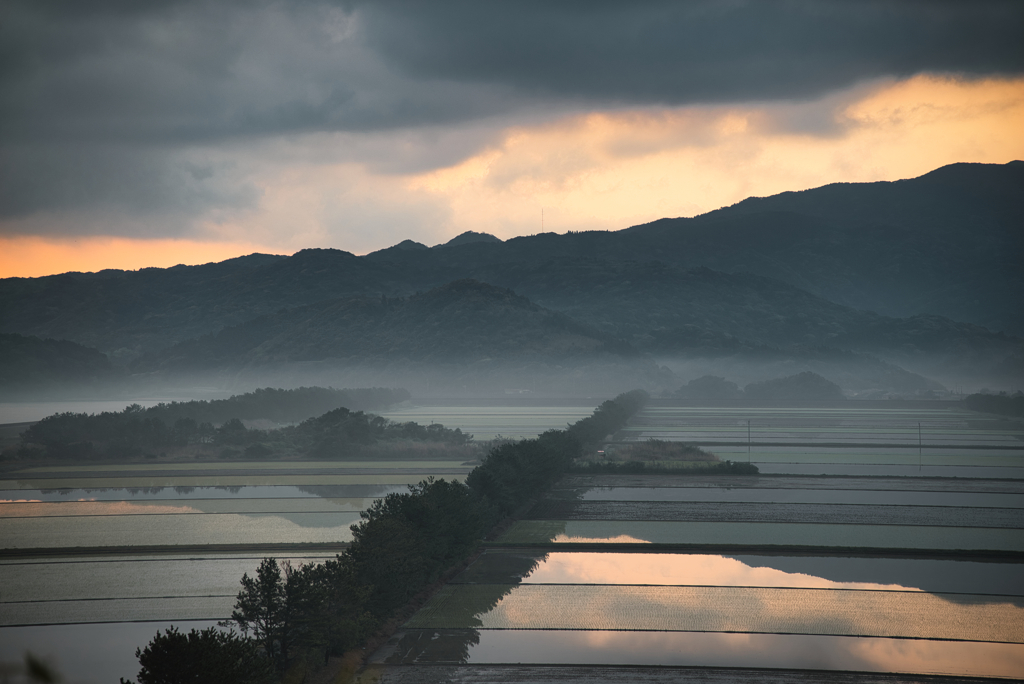 朝の水張田