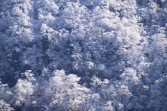 雪の大浪池