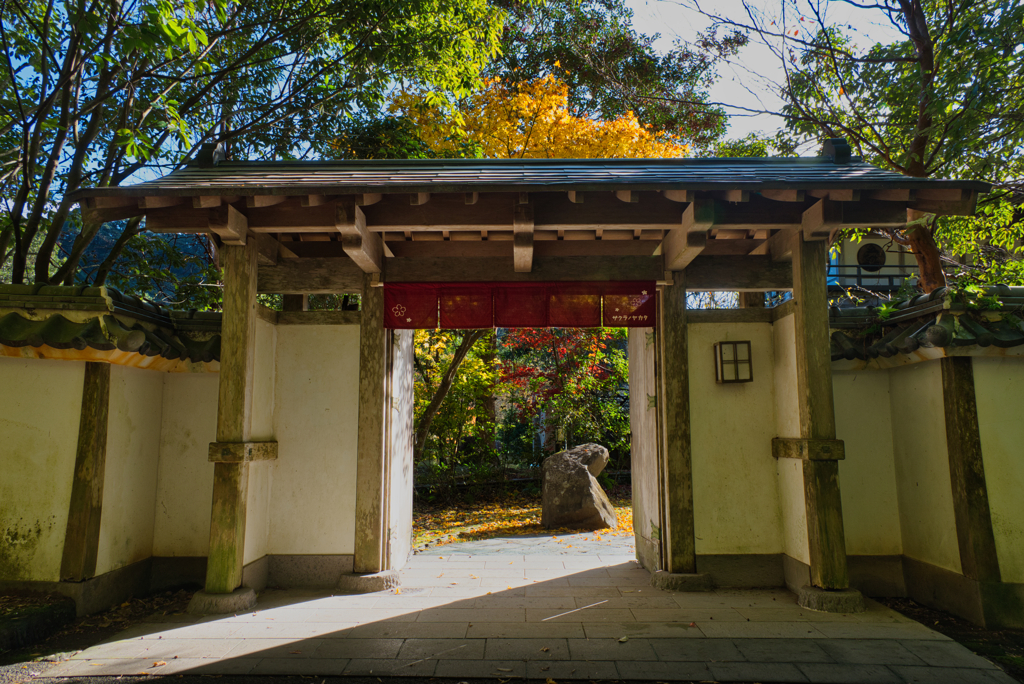 晩秋の岩屋公園
