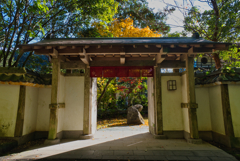 晩秋の岩屋公園