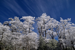 雪の大浪池