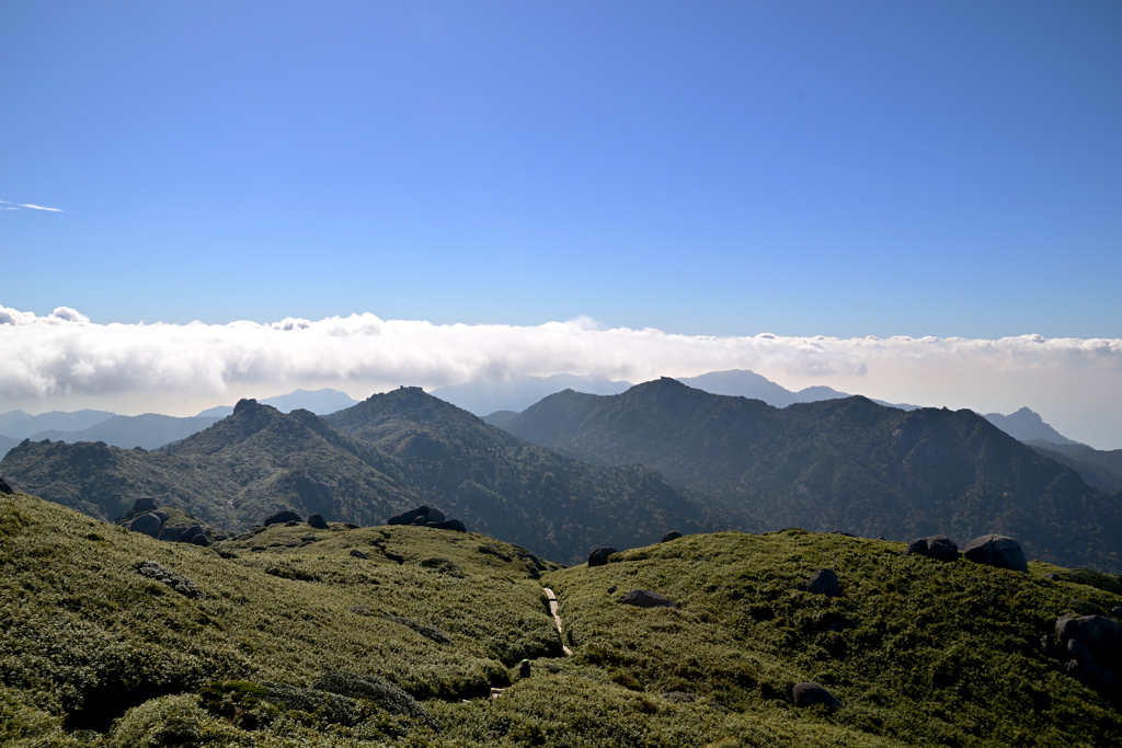 屋久島/宮之浦岳から縦走路