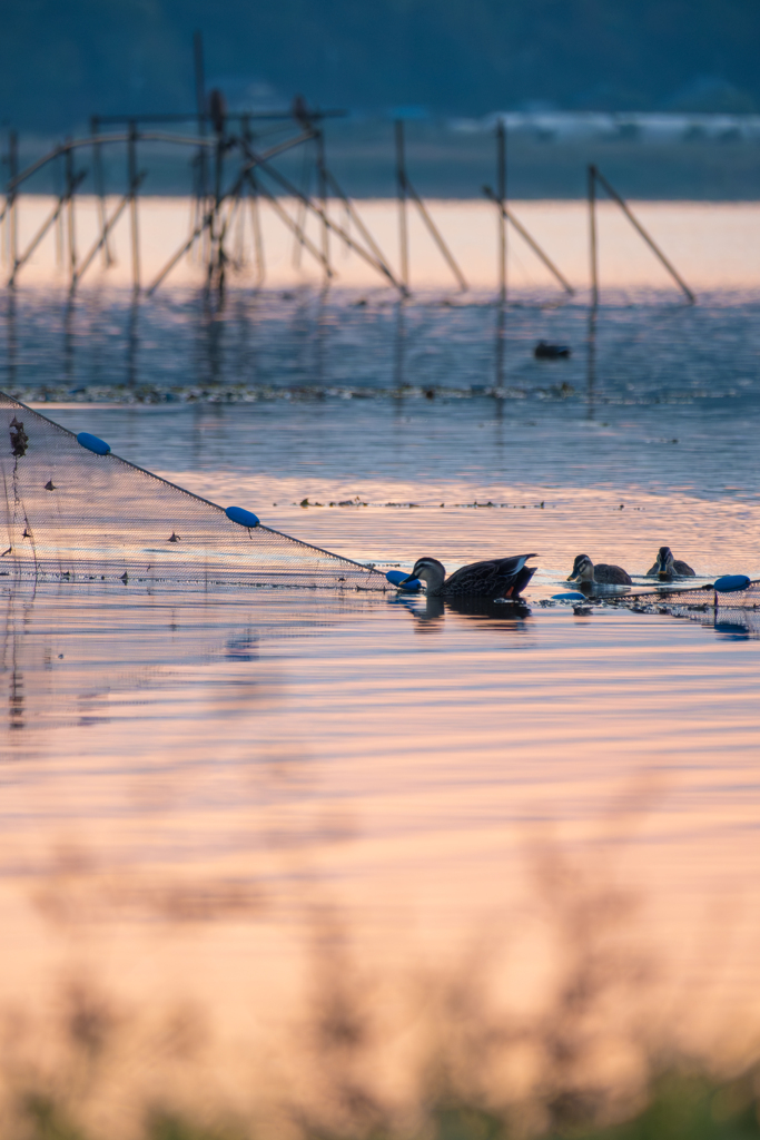 そこ代わってくだーい