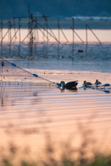 そこ代わってくだーい