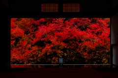 静寂の赤