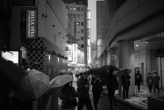 渋谷は今日も雨だった