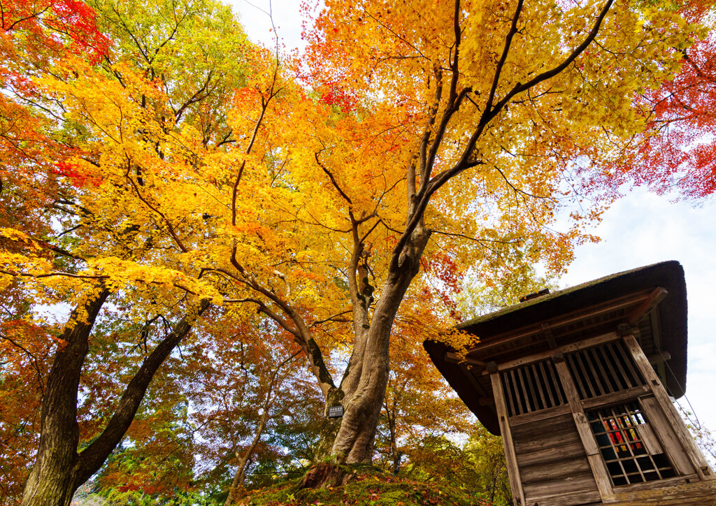 中尊寺