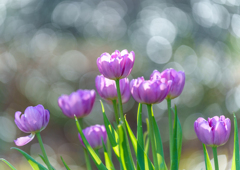 アンデルセン公園