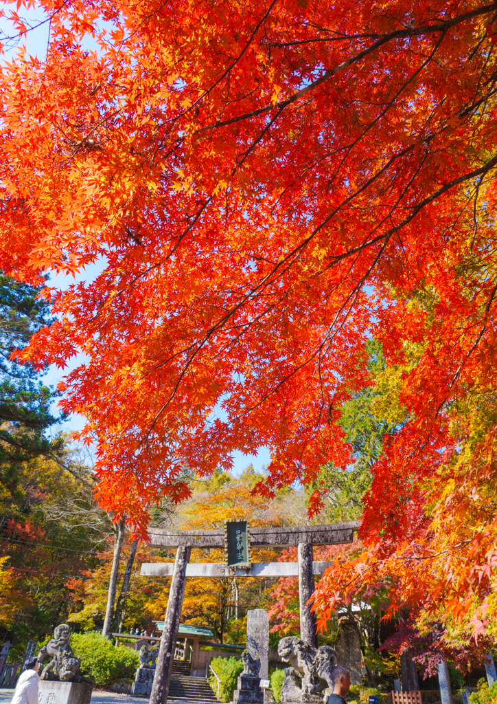 鹿沼・古峰神社