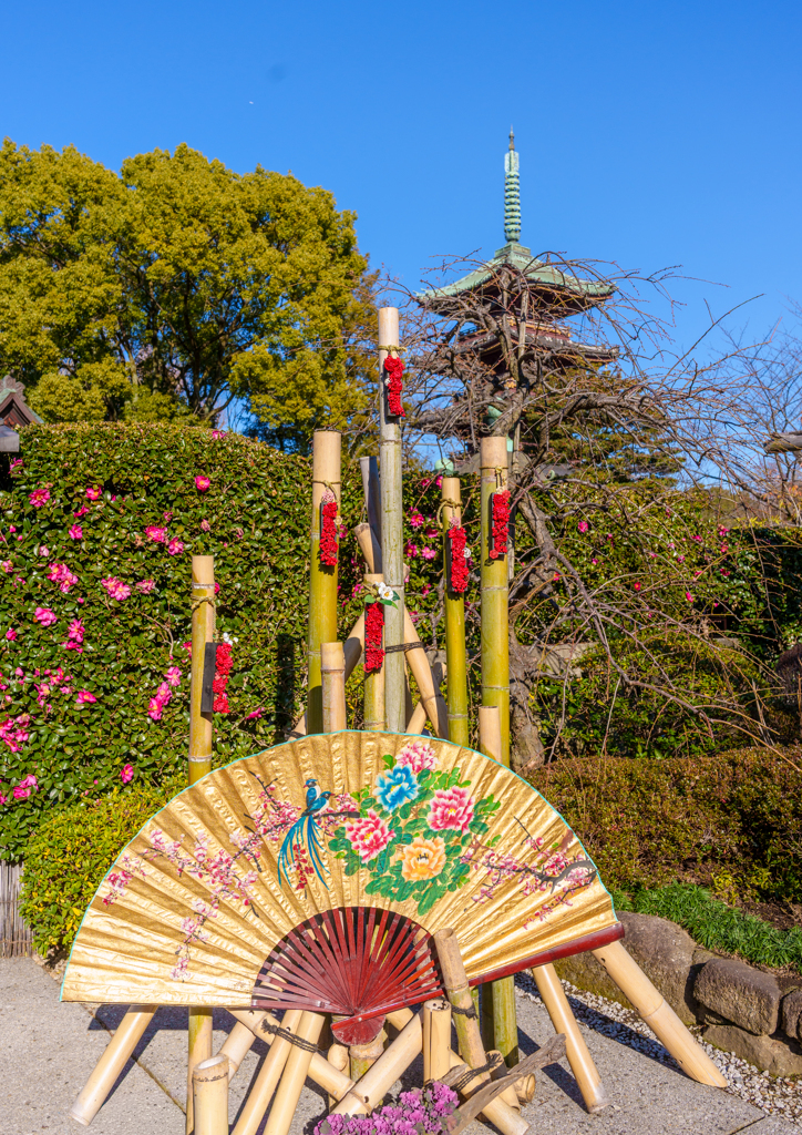 東照宮・寒牡丹