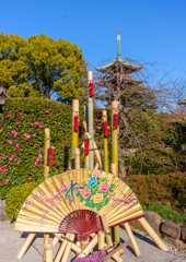 東照宮・寒牡丹