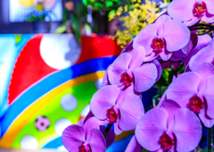 栃木花センター