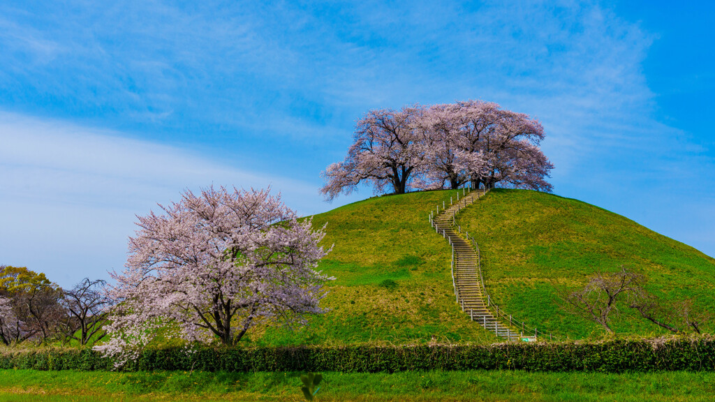行田・丸墓山古墳