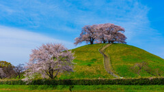 行田・丸墓山古墳