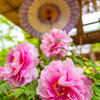 上野東照宮