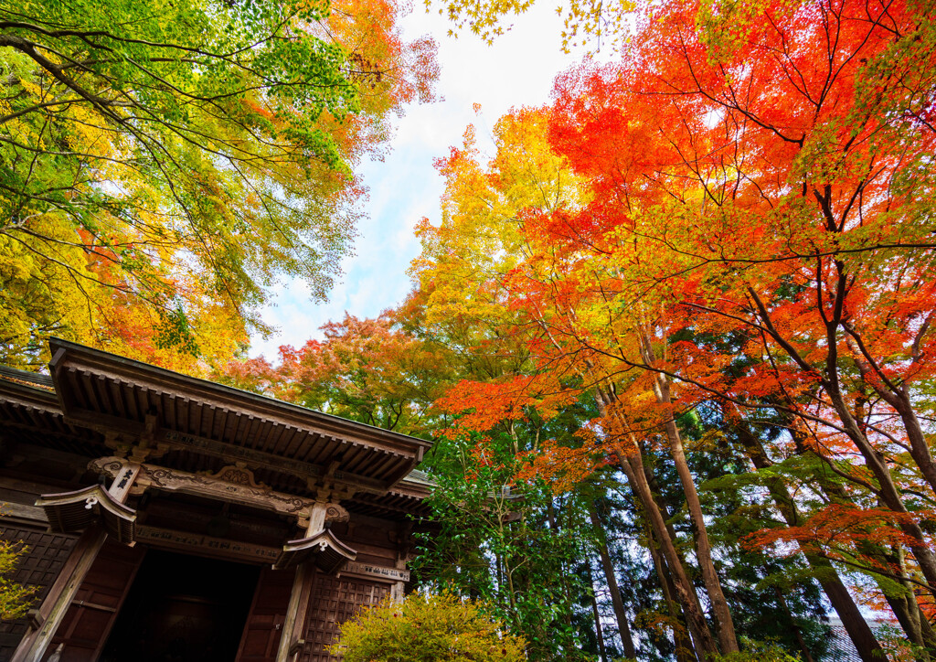 中尊寺