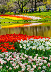昭和記念公園