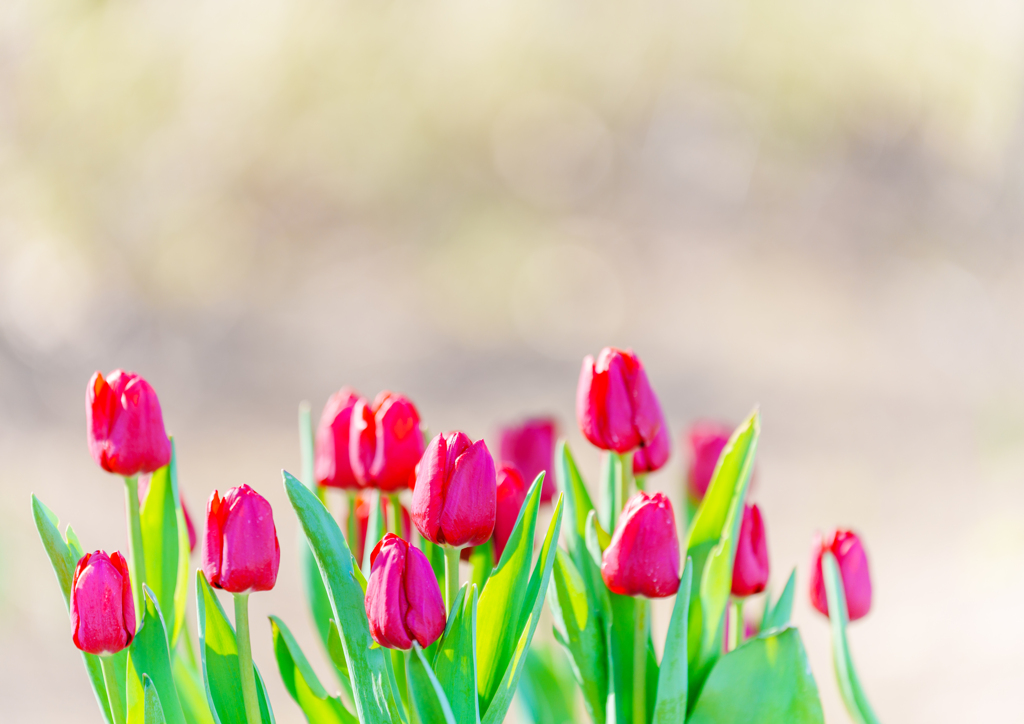 アンデルセン公園