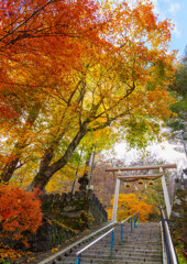 伊香保温泉