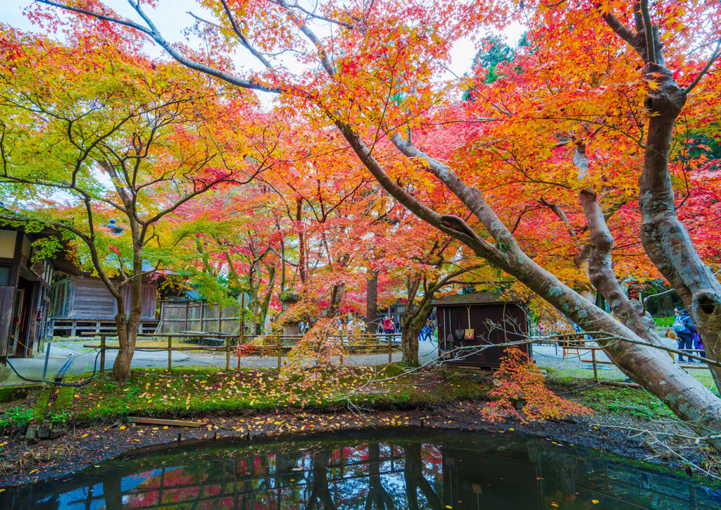 中尊寺