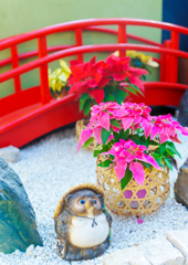 栃木花センター