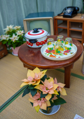 栃木花センター