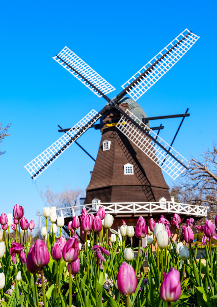 アンデルセン公園