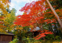 中尊寺