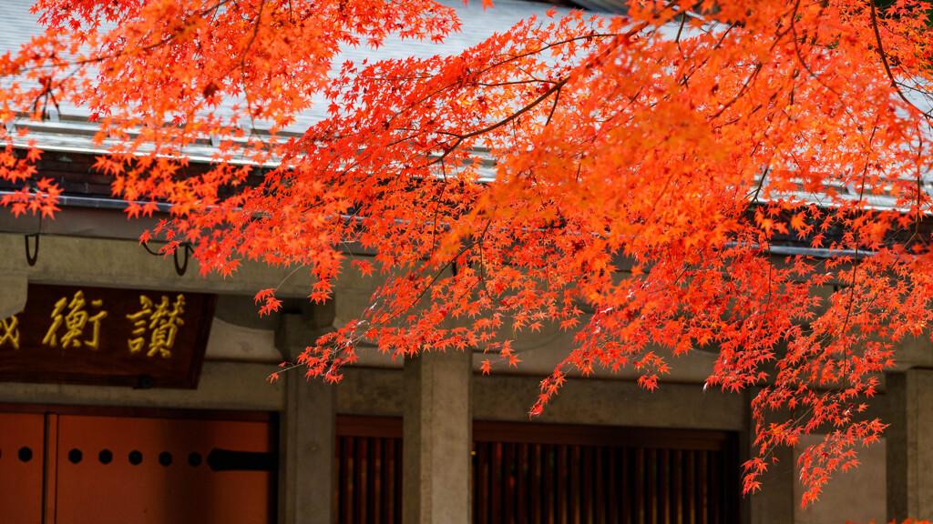 中尊寺