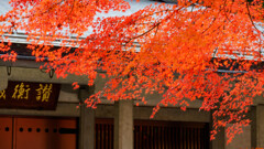中尊寺
